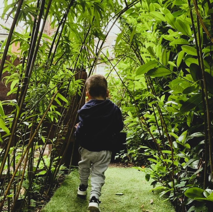 Smallville Nursery Snodland outdoor garden